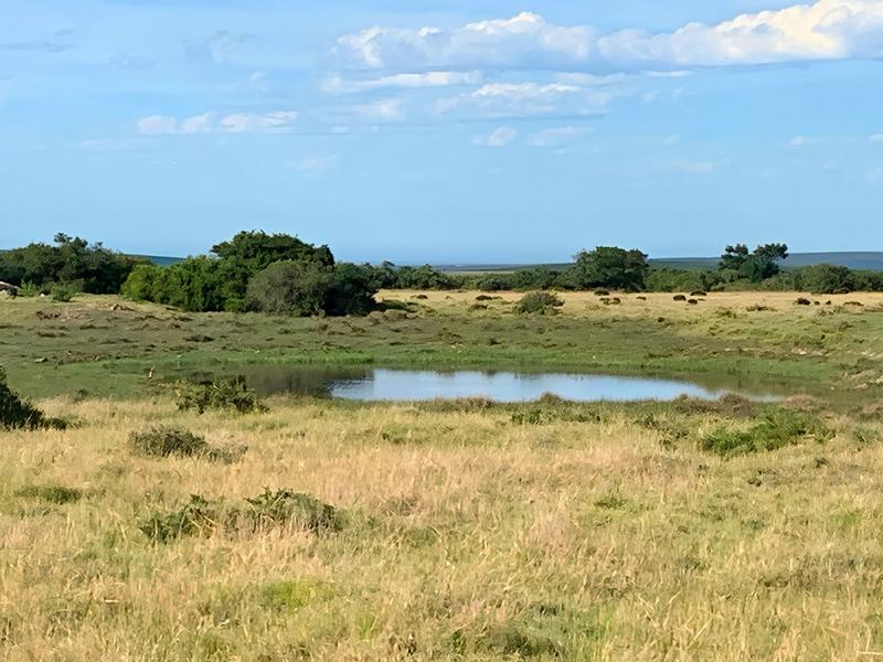 0 Bedroom Property for Sale in Mossel Bay Rural Western Cape